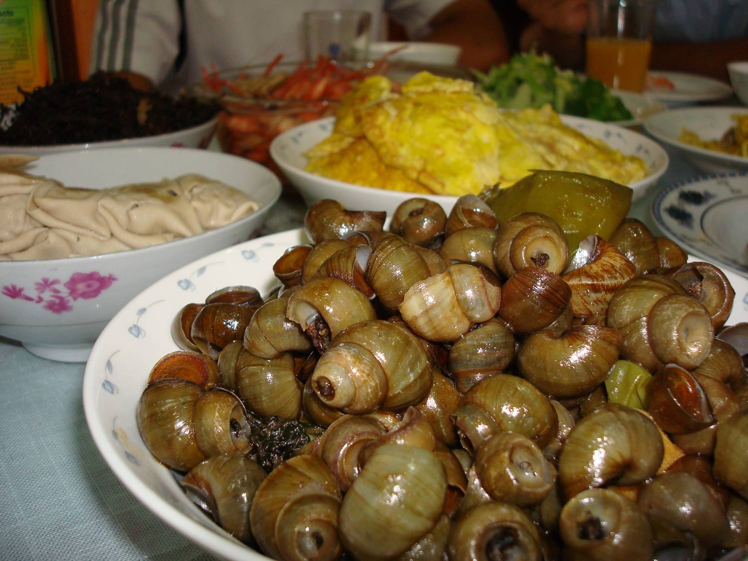 a feast of snails, lunch with George's family,  Wuxi,  China