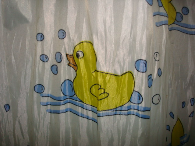 rubber duck curtain in our apartment,  Jiangnan University,  Wuxi,  China