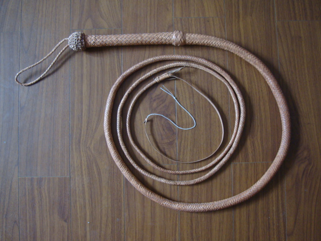 The finished bullwhip, now only of use to introduce a discussion of acoustics.  Jiangnan University, Wuxi, China
