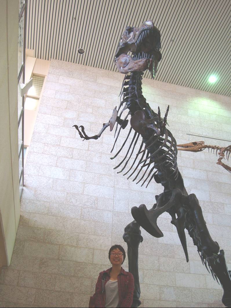 Picture:  A small Chinese woman beneath the T-rex.  Touring the University of Saskatchewan Geology department.