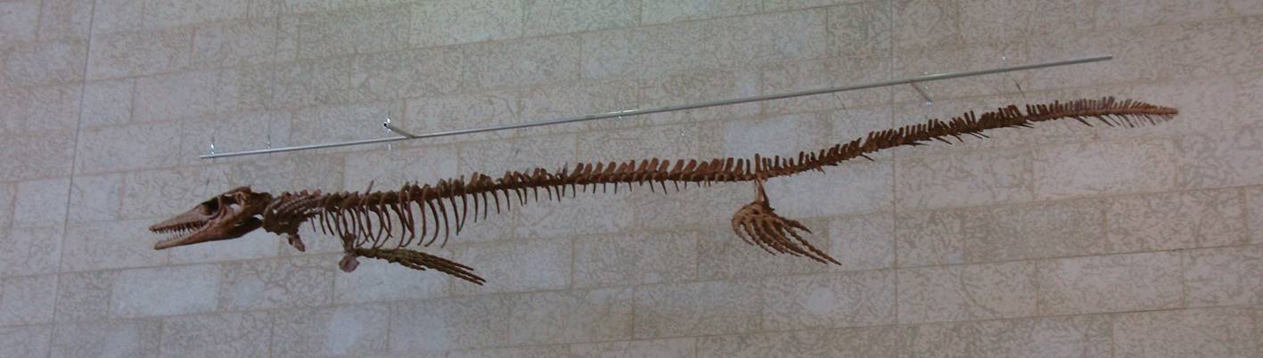 Picture: A prehistoric crocodile like creature.  Touring the University of Saskatchewan Geology department.