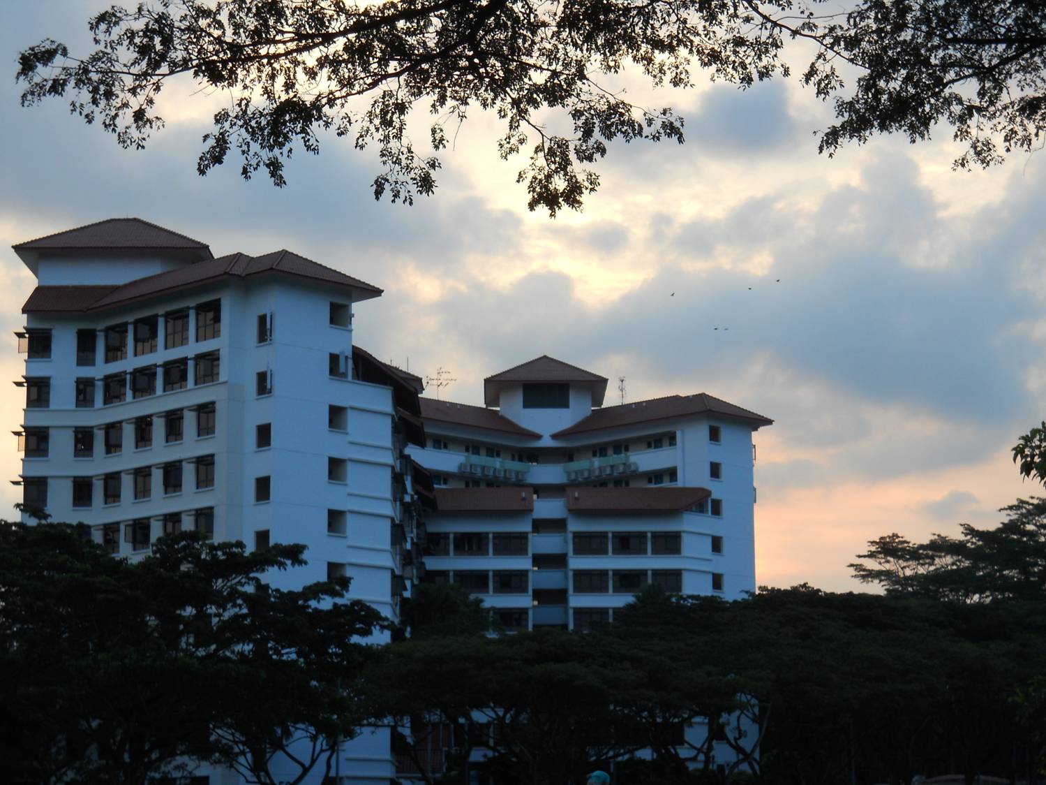 picture:  Nanyang University Graduate Hall at dusk.  Singapore.