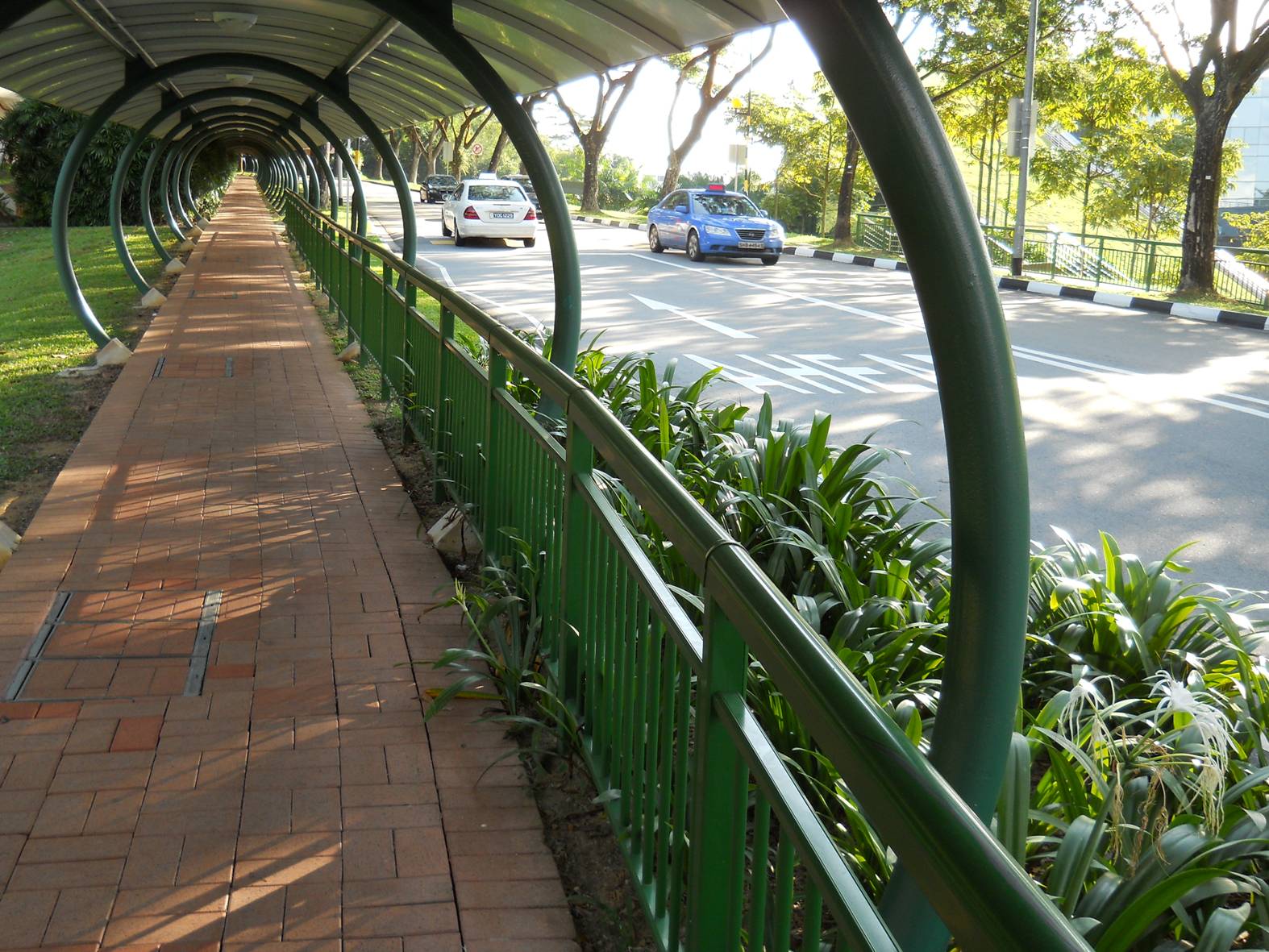 picture: student walk, Nanyang Technological University, Singapore