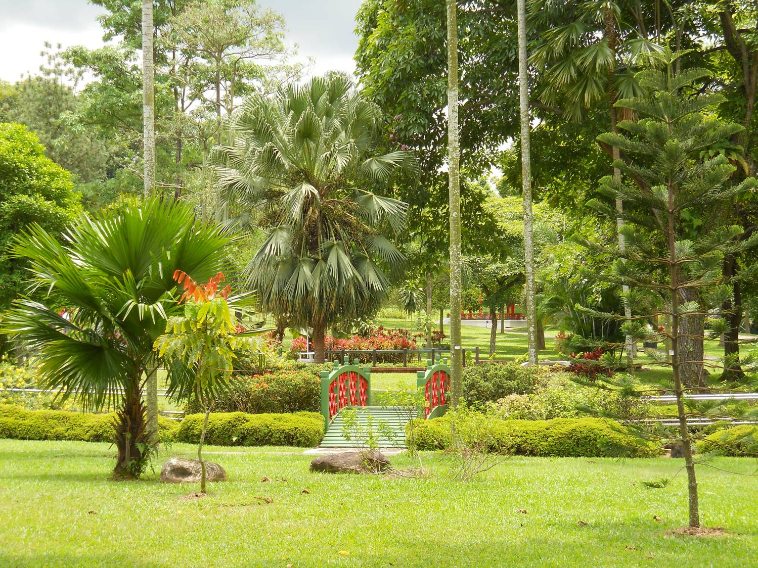 picture:  Yunnan Garden, Singapore