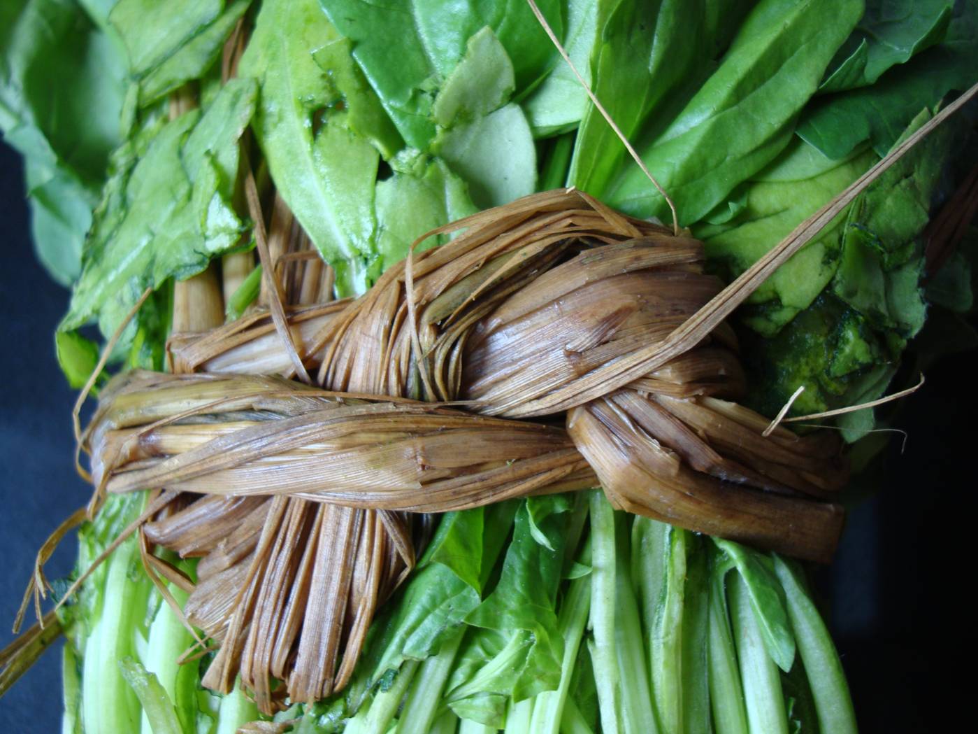 Picture:  A hint of old China.  Spinach tied with a very distinctive knot.  Jiangnan University, Wuxi, China