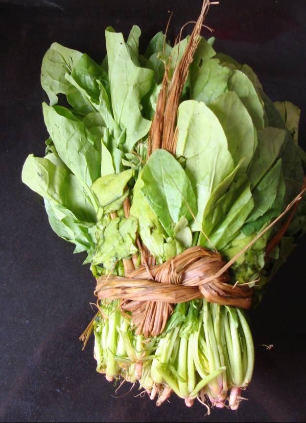 Picture:  Local spinach tied with a very special knot.  Jiangnan University, Wuxi, China