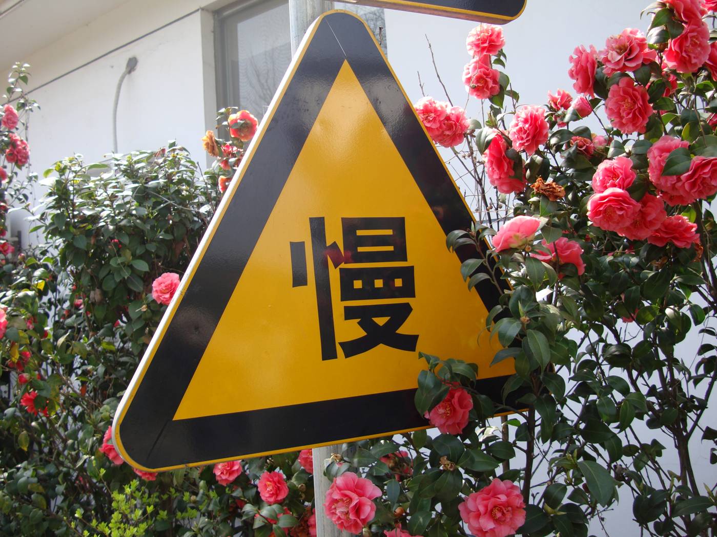 Picture:  Street sign with Chinese character "man", "slow".  Yang Shan, Wuxi, China