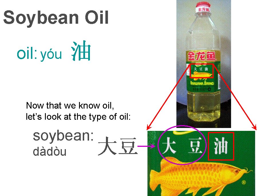 Chinese Soybean Oil - Golden Dragon Fish brand - Grocery shopping in China - Condiments
