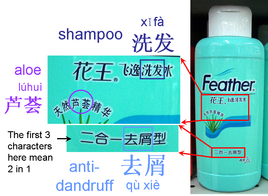 Shampoo in China - anti-dandruff - aloe - Feather brand - Grocery shopping help in China - Toiletries