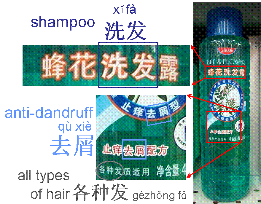 Shampoo in China - anti-dandruff - all hair types - Bee and Flower brand - Grocery shopping help in China - Toiletries