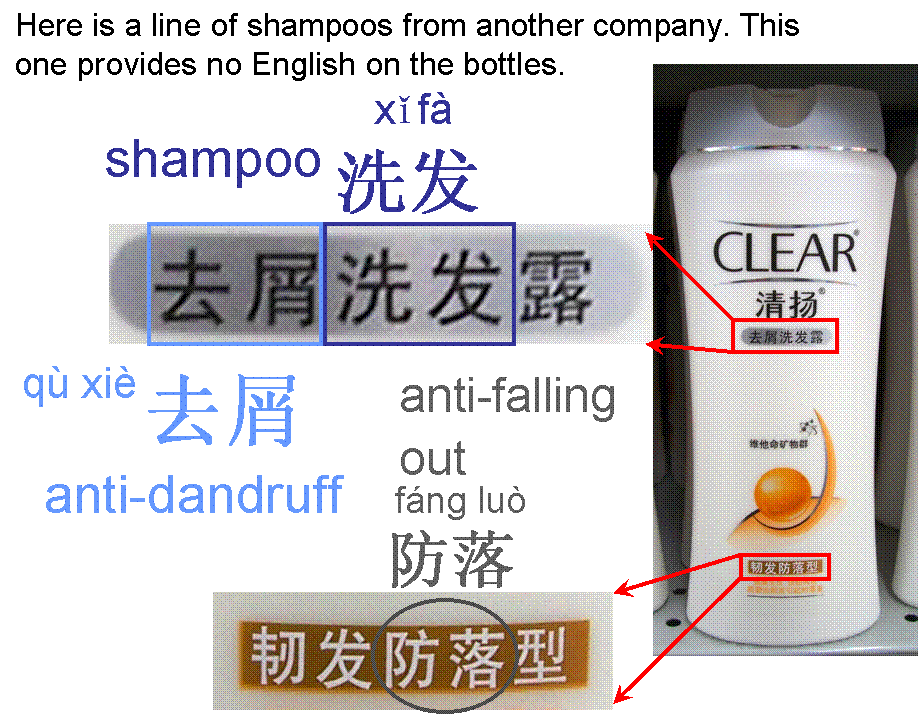 Shampoo in China - Anti-dandruff - Anti-hair loss - Clear brand - Grocery shopping help in China - Toiletries