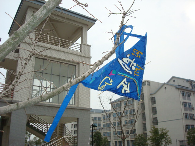 Nothing looks more forlorn than a kite in a tree.   Jiangnan University,  Wuxi,  China