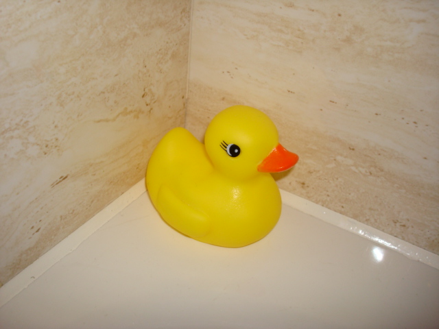"Oh, rubber ducky you're the one.  You make bathtime lots of fun.  Rubber ducky I'm awfully fond of you."